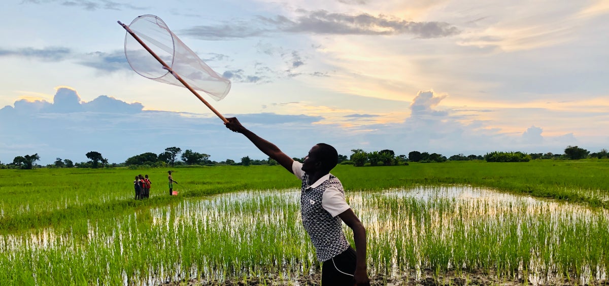 It’s always buzzing in Mosquito City Bill Gates