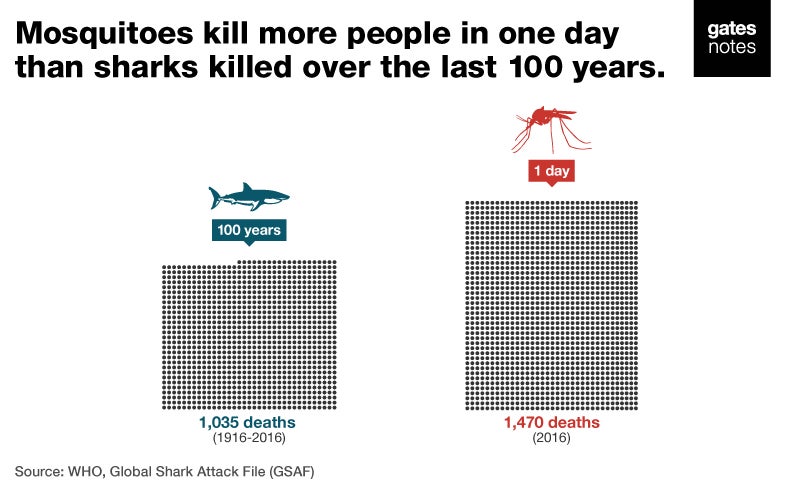 This animal kills more people in a day than sharks do in a century