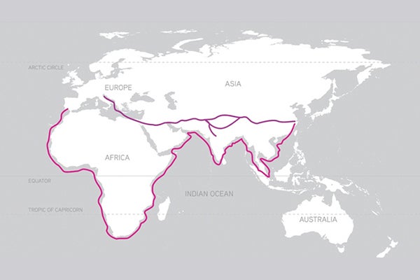 "Systems of Exchange and Trade – Craig Benjamin Guest Talk" 