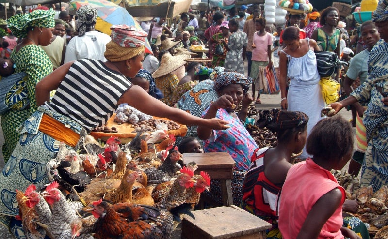 Original Chicken: Local farmer keeps traditional breeds alive and