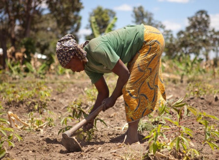 The future our grandchildren deserve | Bill Gates