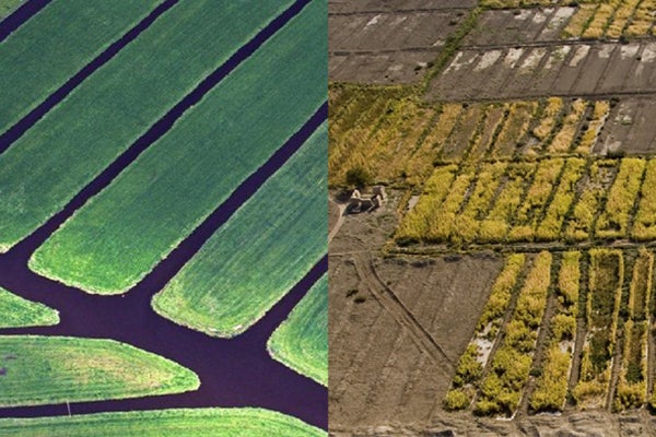 "Unit 7 – Agriculture and Civilization" 