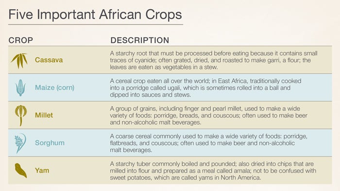 "Five Important African Crops - Cassava, Maize, Millet, Sorghum, and Yam" 