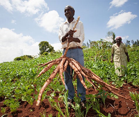 A Bill Gates venture finds a safer, more affordable way to collect, store,  and transport milk in Kenya