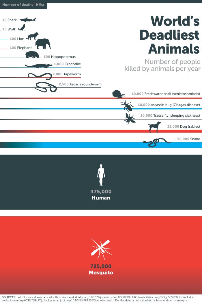 The deadliest animal in the world | Bill Gates