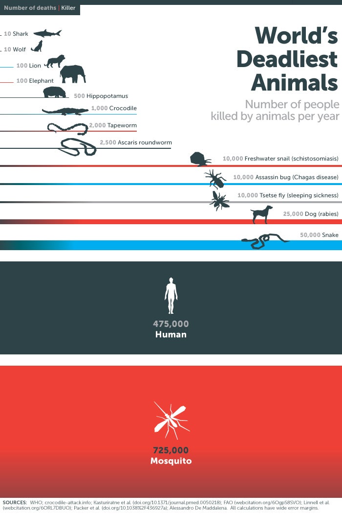 deadliest animals chart