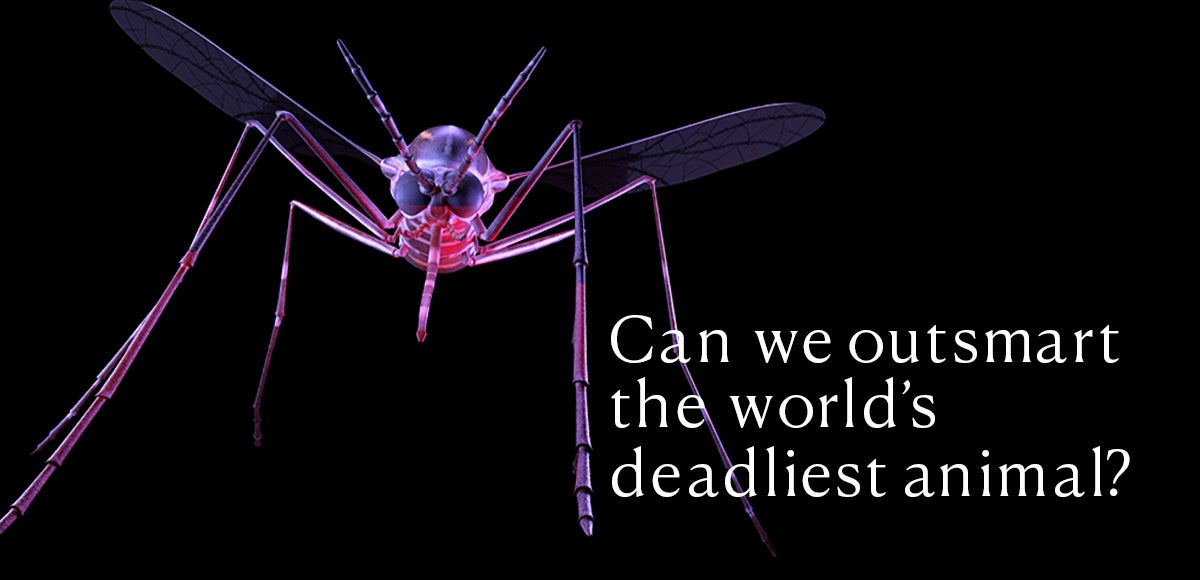 Can we outsmart the world's deadliest animal? | Bill Gates
